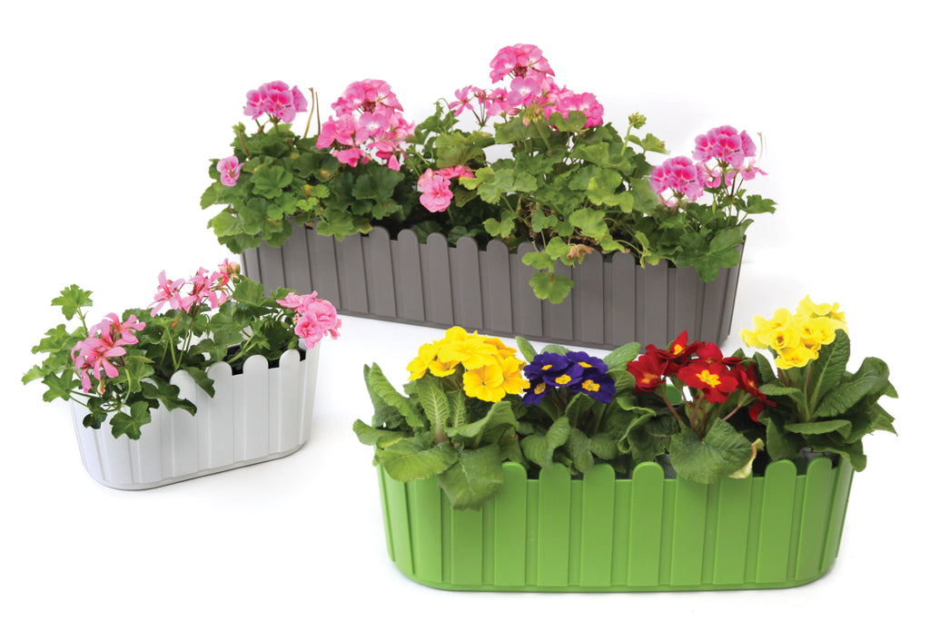 Luna - Window Box