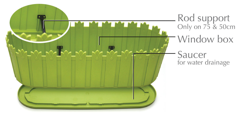 Tulip Window Box Tulip - Window Box – DF Omer Catalog